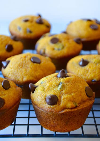 Pumpkin chocolate chip muffins on a wire cooling rack.